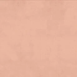 Emma Shell Upholstered Platform Bed - Skyline Furniture 9 Emma Shell Upholstered Platform Bed - Skyline Furniture -Skyline Furniture GUEST 60ec18ed 02ff 47e8 80a5 47feff82d850