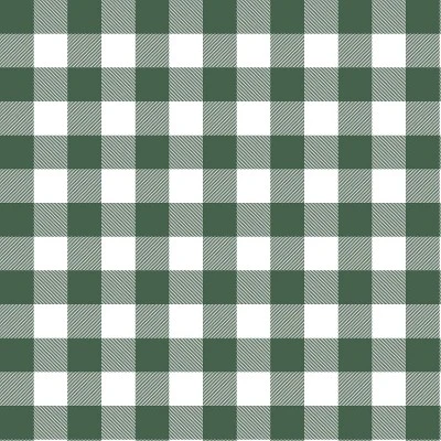 Classic Gingham Outdoor Throw Pillow Evergreen - Skyline Furniture 5 Classic Gingham Outdoor Throw Pillow Evergreen - Skyline Furniture - Image 3